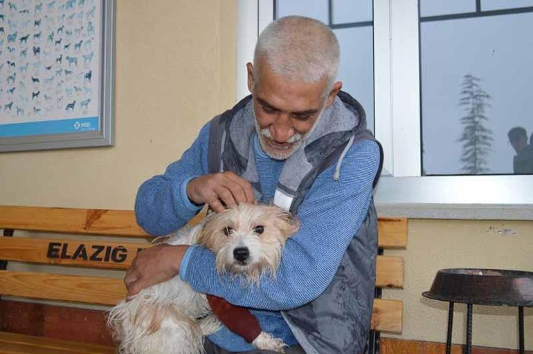 Muğla’da 1 yıl önce çalınan köpek, mikroçip sayesinde Elazığ’da bulundu