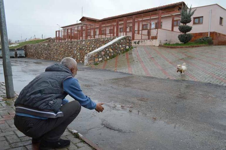 Muğla’da 1 yıl önce çalınan köpek, mikroçip sayesinde Elazığ’da bulundu