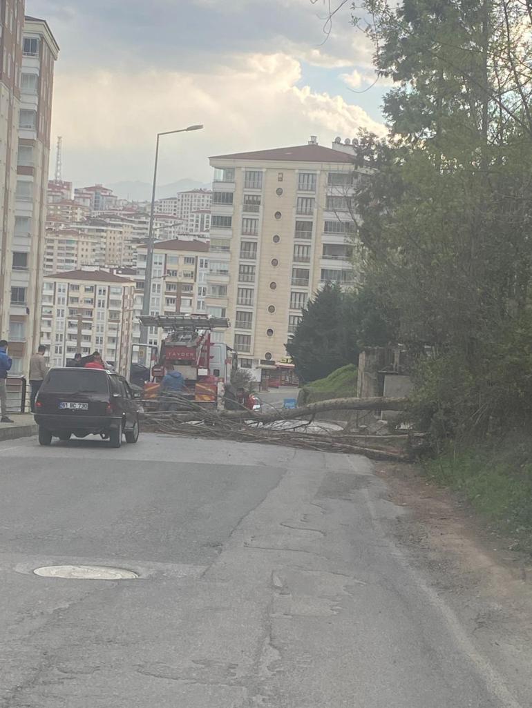 Doğu Karadeniz’de fırtına etkisi; çatı uçtu, ağaç devrildi