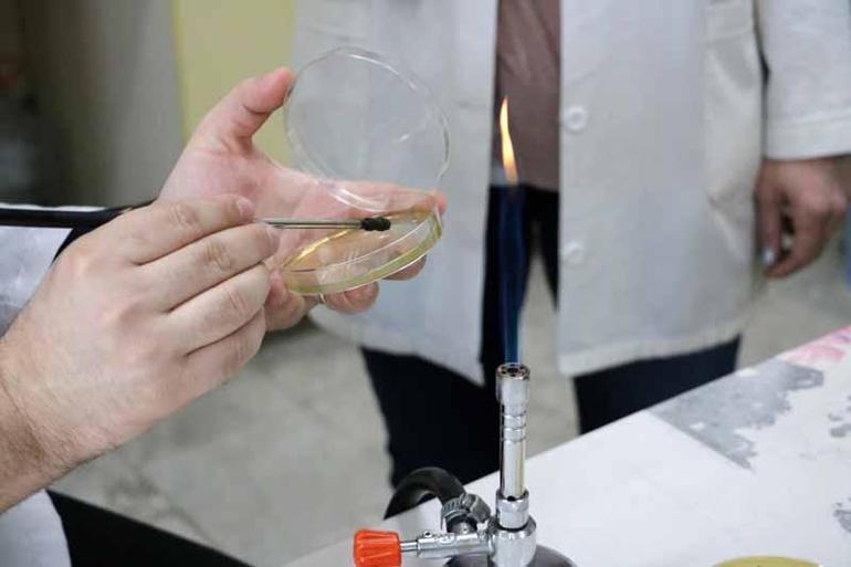 Kanatlı eti ve yumurtası yüksek ısıda tüketilmeli