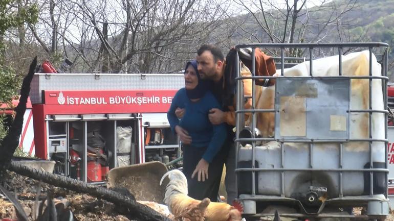 Beykozda ahır yangını: 1 inek ve 1 köpek öldü