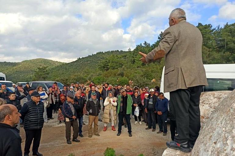 Bodrumda taş ocağının bilirkişi raporu; toz, orman ve zeytin ağaçlarını olumsuz etkileyebilir