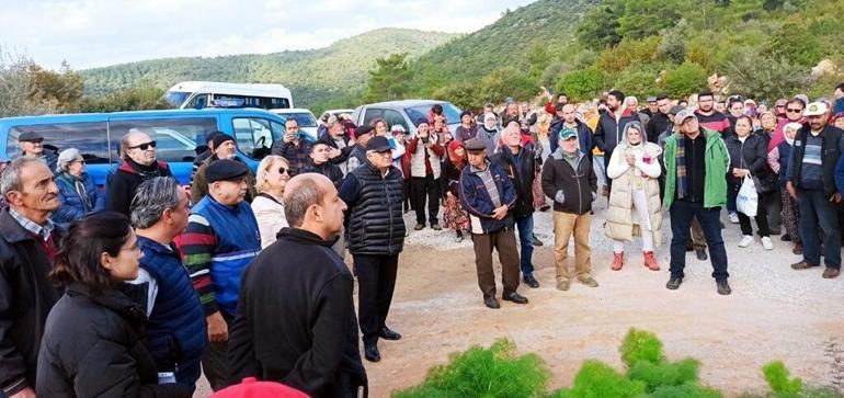 Bodrumda taş ocağının bilirkişi raporu; toz, orman ve zeytin ağaçlarını olumsuz etkileyebilir