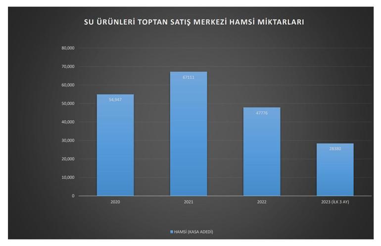 Prof. Dr. Aydın: Hamsi, Türk somonunun yemi oldu