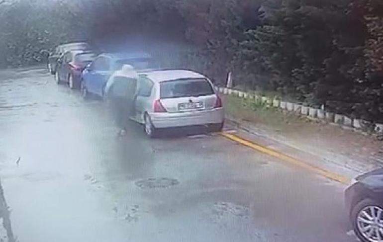 Bağcılar’da sitedeki kedileri poşetle götüren kişi hakkında suç duyurusu