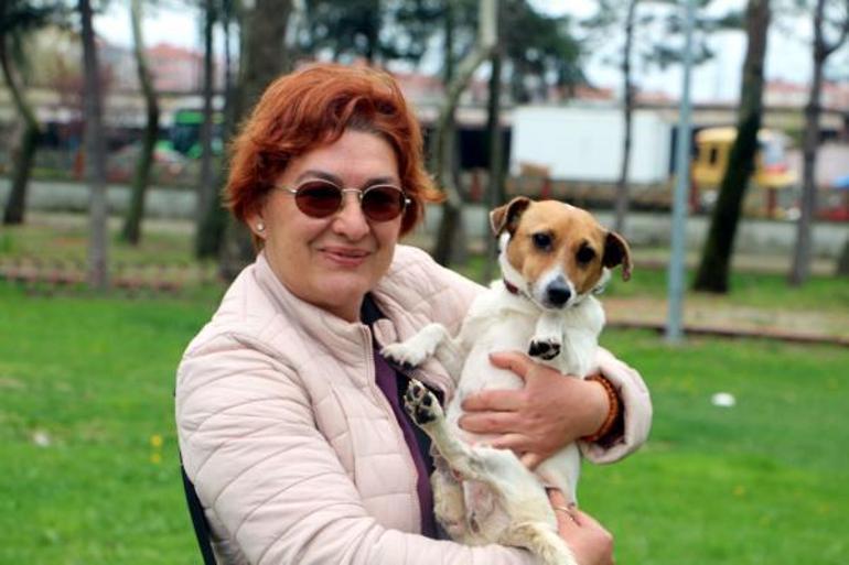 Havsada kaybolan sokak köpekleri için hayvanseverlerden suç duyurusu