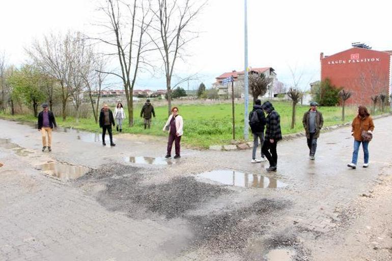 Havsada kaybolan sokak köpekleri için hayvanseverlerden suç duyurusu