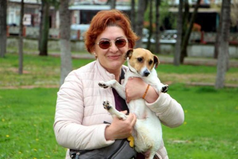 Havsada kaybolan sokak köpekleri için hayvanseverlerden suç duyurusu