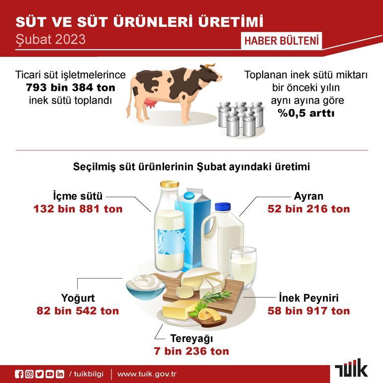 TÜİK: Yumurta üretimi ve inek sütü miktarı arttı, tavuk eti üretimi azaldı
