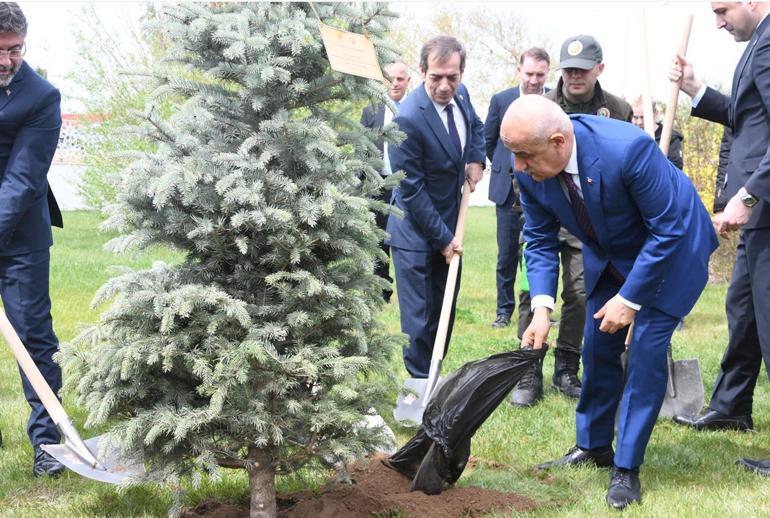 Bakan Kirişci: Yanan orman alanlarını mutlaka ağaçlandırıyoruz