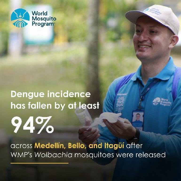 Giderek artan dang humması vakalarına karşı modifiye edilmiş sivrisinek fabrikası kurulacak