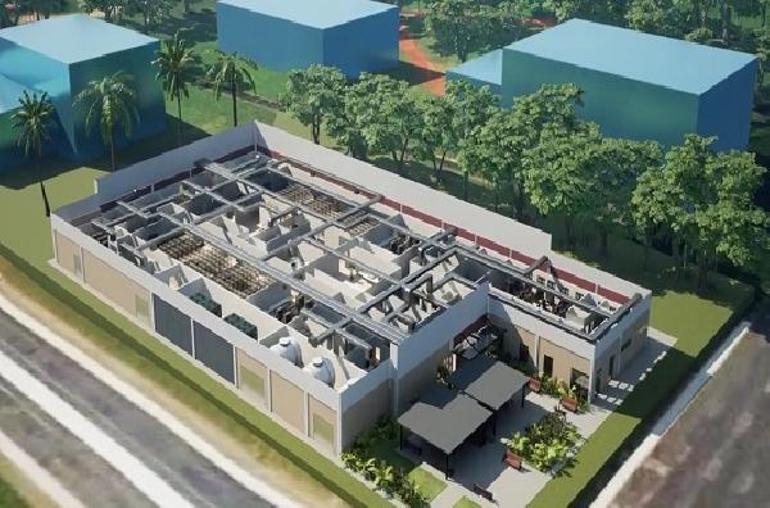 Giderek artan dang humması vakalarına karşı modifiye edilmiş sivrisinek fabrikası kurulacak