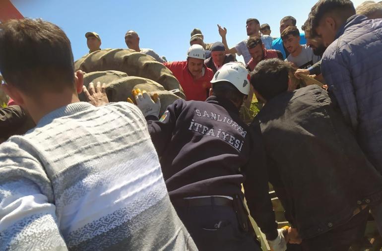 Şanlıurfada, devrilen traktörün sürücüsü öldü