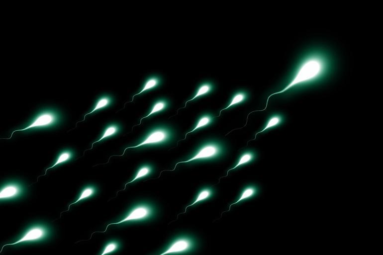 En az 550 çocuğun sperm donörü olan adamın, sperm bağışlaması yasaklandı