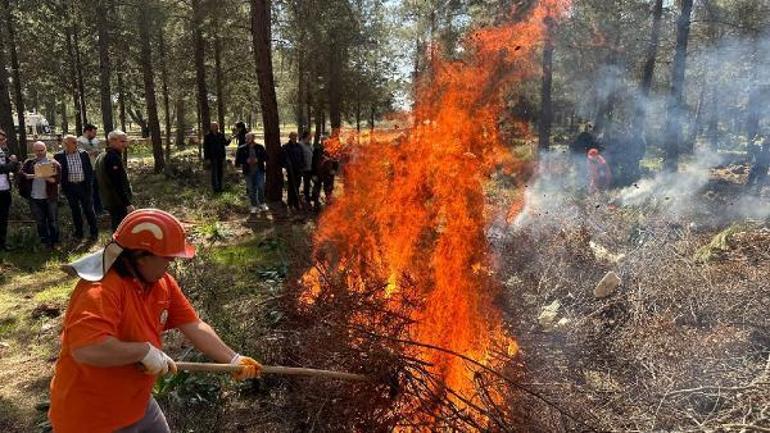 Orman yangın sezonu başladı; açıkta ateş yakmak yasak