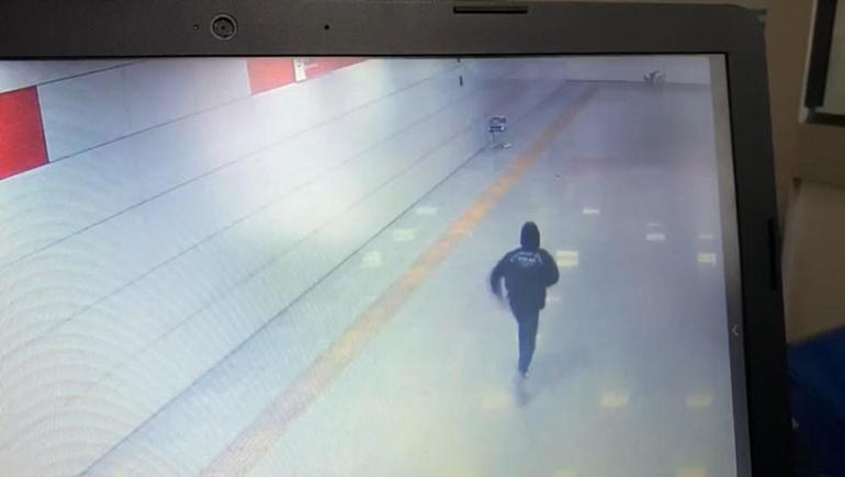 Kediyi pitbulla öldürten şüpheliye 6 ay boyunca hayvan içerikli kitap okuma cezası