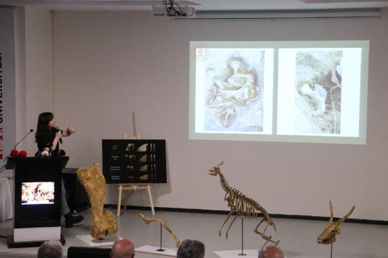 Türkiyenin ilk paleontoloji müzesinin yüzde 80i tamamlandı