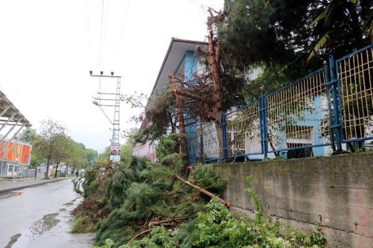 Elektrik telleriyle temas eden ağaçların budanmasına soruşturma