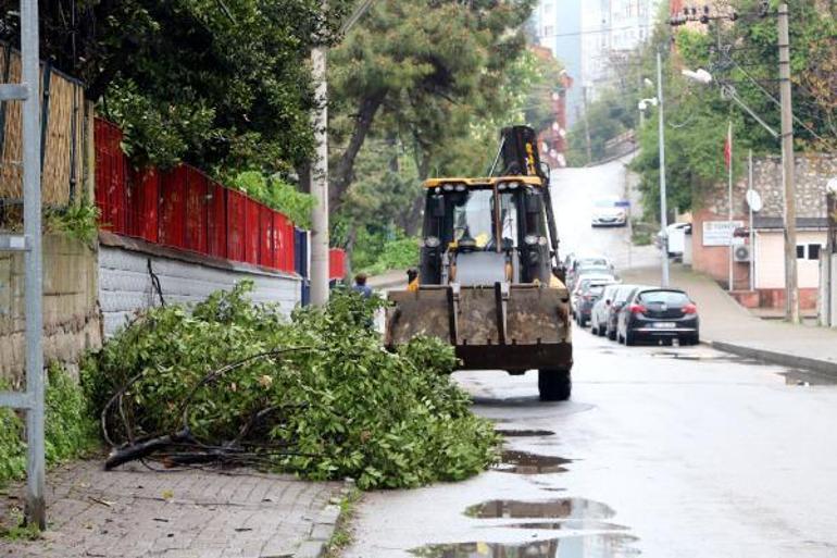 Elektrik telleriyle temas eden ağaçların budanmasına soruşturma