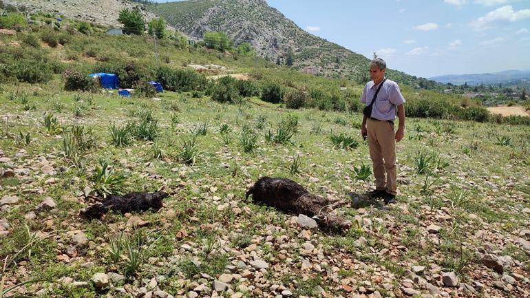 Sağanağın vurduğu Kozanda ev ve iş yerleri temizleniyor