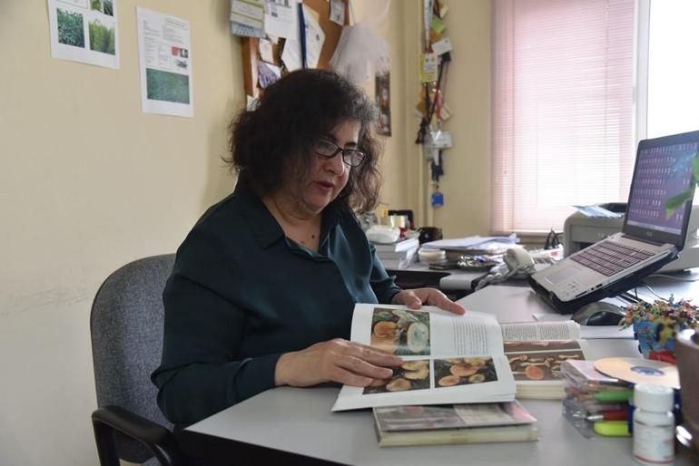 Prof. Dr. Pekşen: Mantar ölümlerinin yüzde 95’i ‘Köygöçüren’ türünden kaynaklanıyor