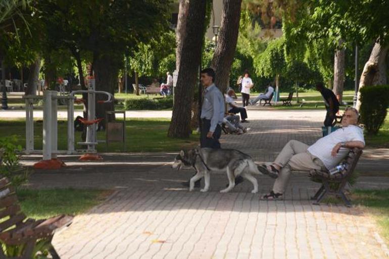 Adanada sıcaklık 37 dereceyi buldu; parklar doldu