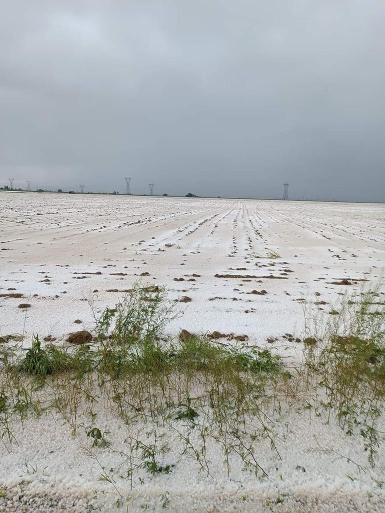 Niğdede dolu, tarım arazilerine zarar verdi