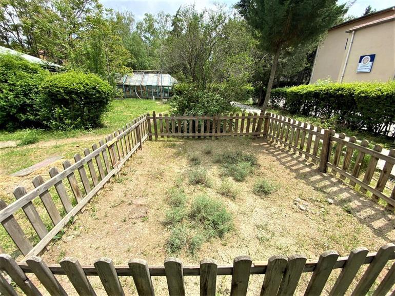 Endemik bitki türlerine üniversitelerden koruma kalkanı