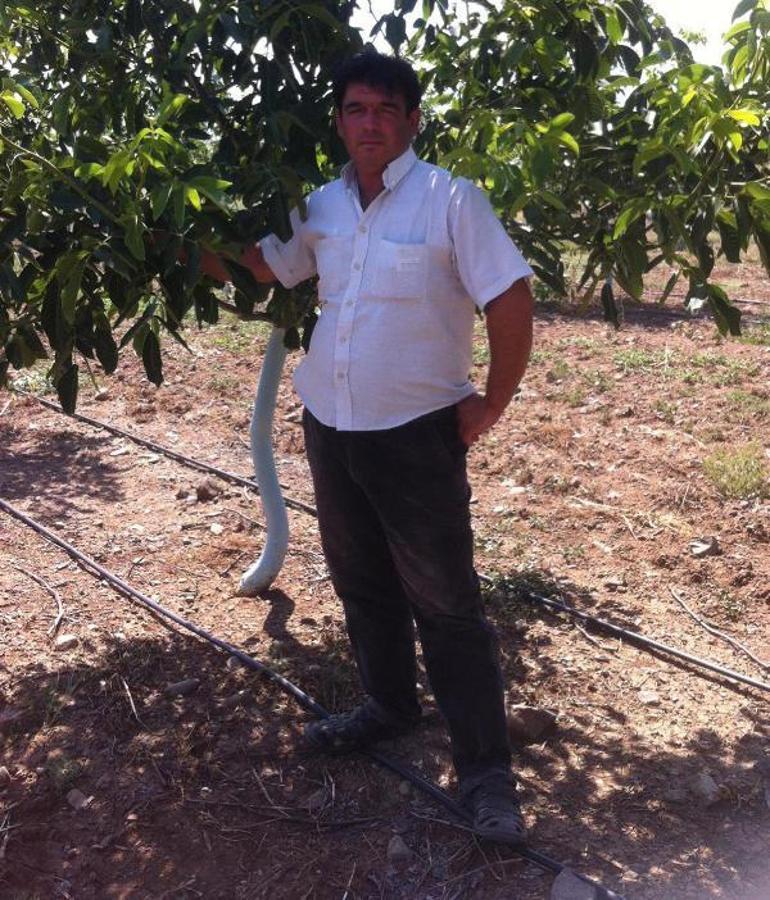 Bağdaki cinayette gözaltına alınan komşu tutuklandı