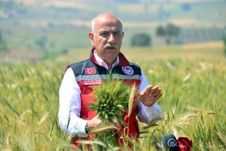 Bakan Kirişci: Buğdayda 21 milyon ton rekolte bekliyoruz