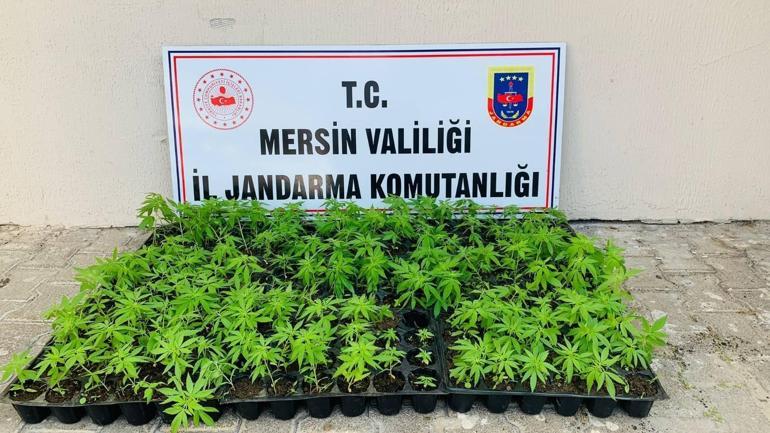 Mersinde torbacı operasyonuna 4 gözaltı