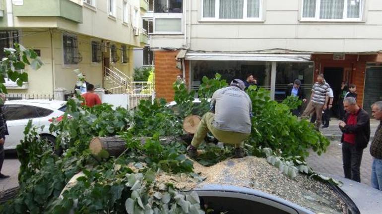 Avcılarda iki gün önce aldığı bisikletin üzerine ağaç devrildi