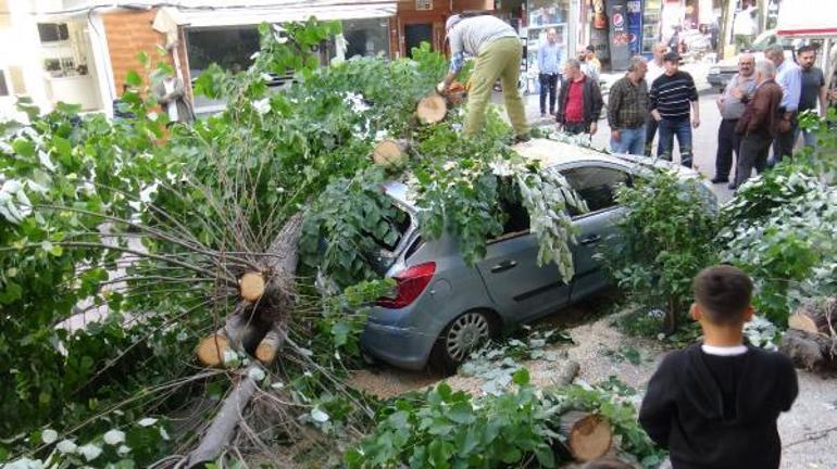 Avcılarda iki gün önce aldığı bisikletin üzerine ağaç devrildi