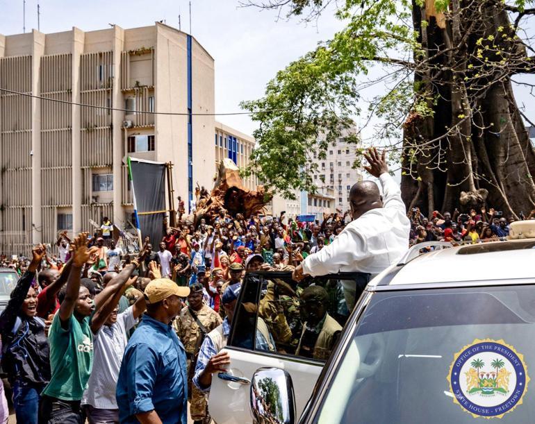 Sierra Leone’nin sembolü 200 yıllık ağaç fırtınada devrildi