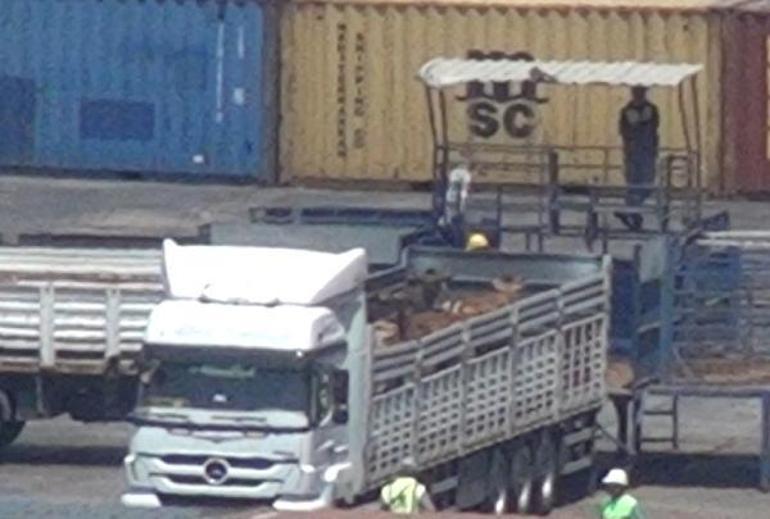 Canlı hayvan taşıyan gemi, Bandırma’da