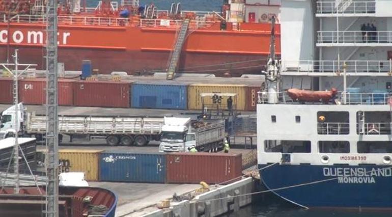 Canlı hayvan taşıyan gemi, Bandırma’da