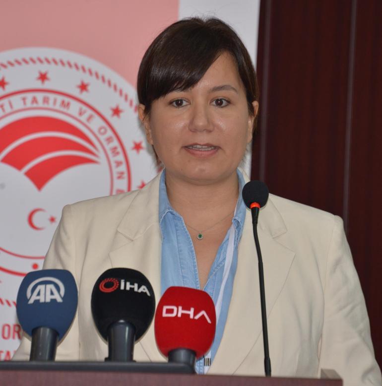 TAGEM Genel Müdürü Türker: Gıda konusu milli güvenlikten daha önemli hale geldi