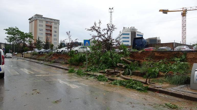 Otoparkın istinat duvarı çöktü, altında kalan ağaçlar yola devrildi