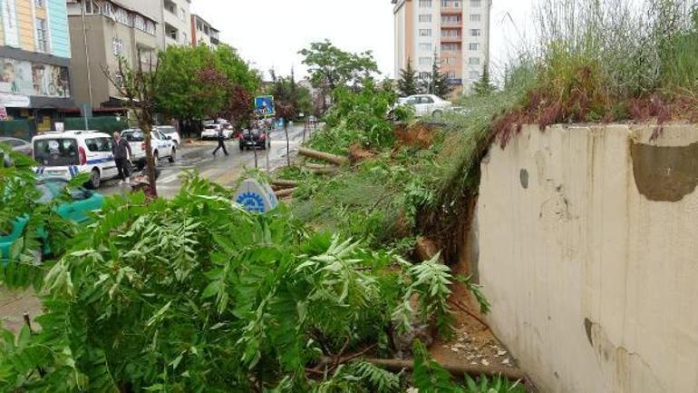 Otoparkın istinat duvarı çöktü, altında kalan ağaçlar yola devrildi