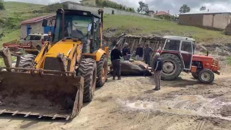 Köyde 6 farklı noktada yangın çıktı; 13 büyükbaş öldü, ev ve ahırlar yandı