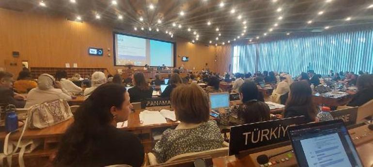 Türkiye, kültür varlığı kaçakçılığı komitesine üye oldu