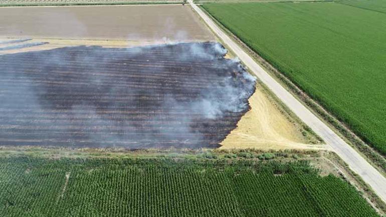 Ucuz gibi görünen anız yakmak daha çok gübre masrafına neden oluyor