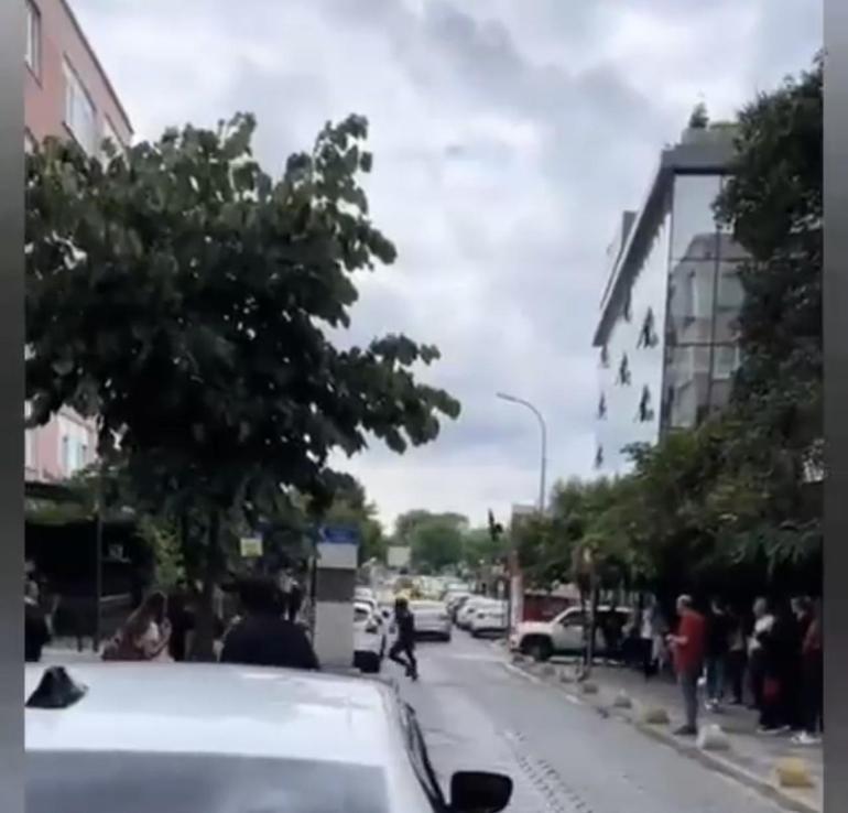 Kadıköyde yuvadan düşen yavru kargayı almaya çalışanlara kargalar saldırdı