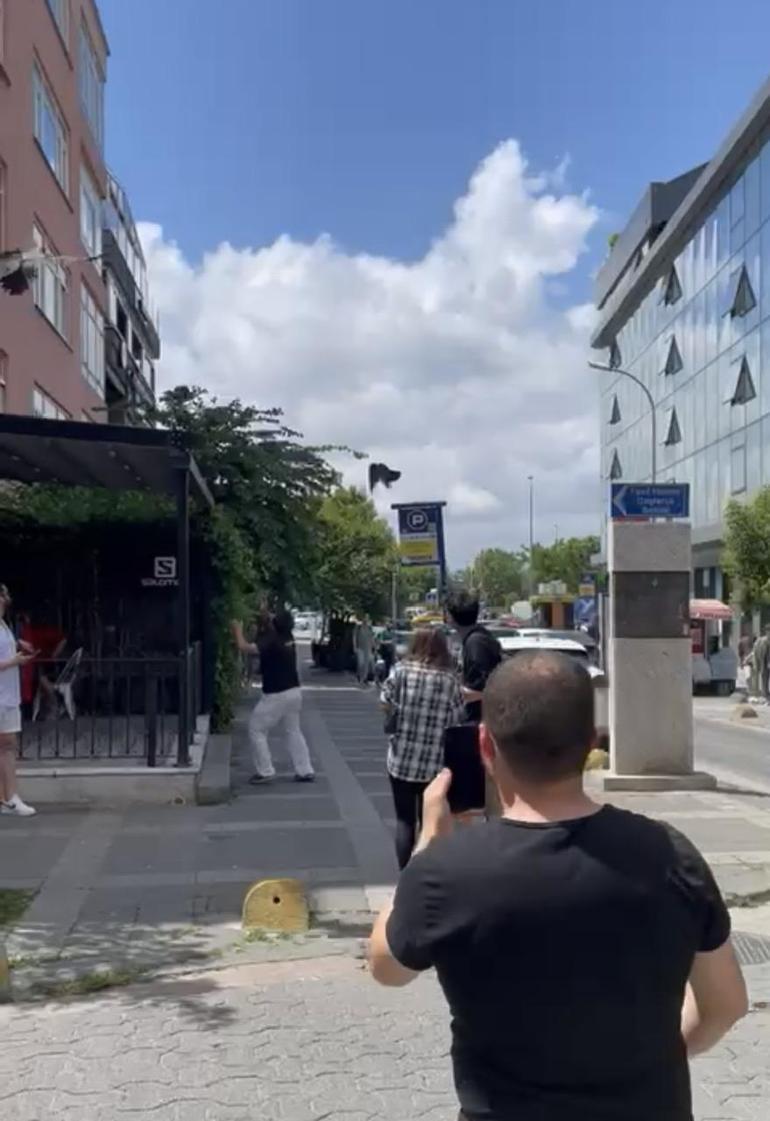 Kadıköyde yuvadan düşen yavru kargayı almaya çalışanlara kargalar saldırdı