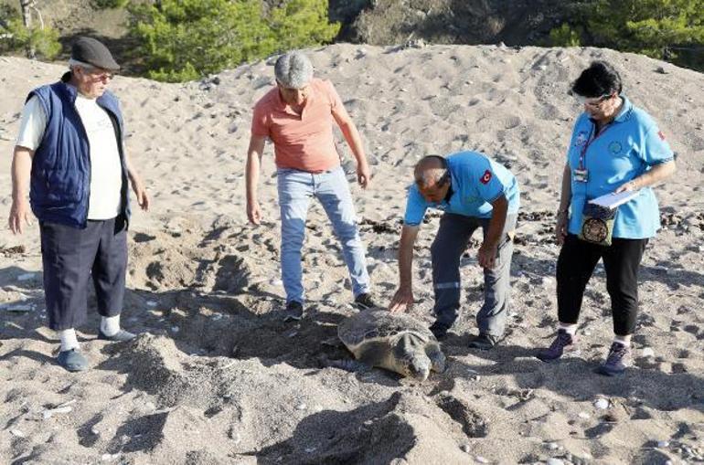 3 gönüllünün çeyrek asırlık caretta caretta mesaisi