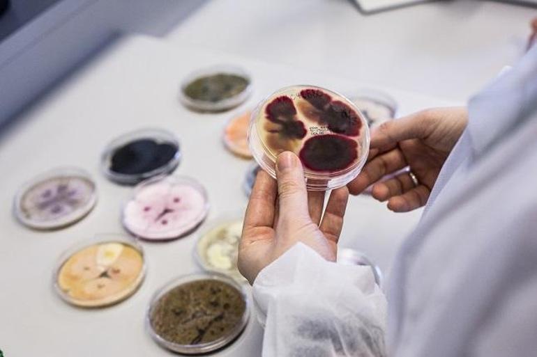 Gıda israfını önlemeyi hedefleyen Novozymes, 25 yıldır Türkiyede