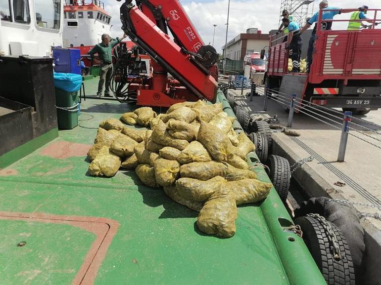 Marmara Denizinde kaçak midye çıkaran 21 tekneye el konuldu