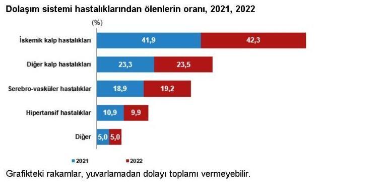 TÜİK: 2022de 504 bin 839 ölüm gerçekleşti