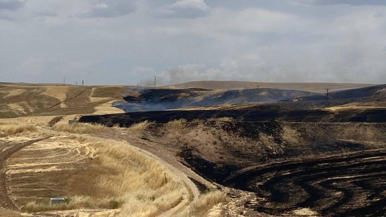 Diyarbakır’da 9 kişinin öldüğü arazi kavgasında tutuklu sayısı 6’ya çıktı