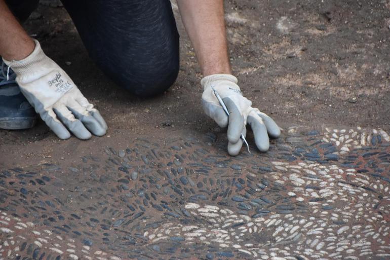 Sinopta Helenistik döneme ait olduğu değerlendirilen mozaik bulundu